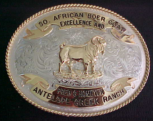 Boer Buckle Oval Body